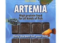 ARTÉMIA BLISTER 100 GR. 24 CUBE NEW LINE